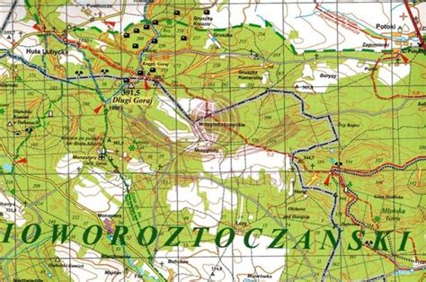 Mapa Puszczy Solskiej z zaznaczonym obszarem pożaru