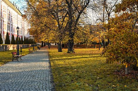 Zewnętrzny widok na City Park w Poznaniu