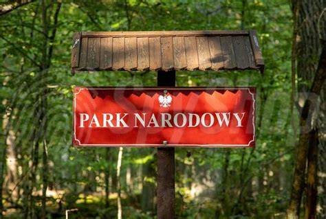 Tablica informacyjna z regulaminem Kampinoskiego Parku Narodowego
