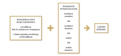 Grafika przedstawiająca ścieżkę edukacyjną i szkoleniową strażaka-ochotnika: od kandydata do ratownika.