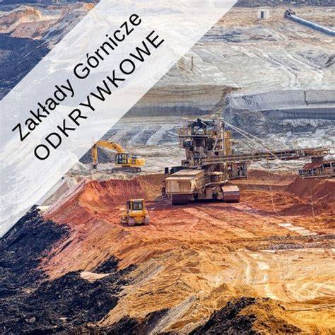Sposób zabezpieczenia terenu znalezienia padliny oraz właściwe techniki oznakowania miejsca dla służb weterynaryjnych