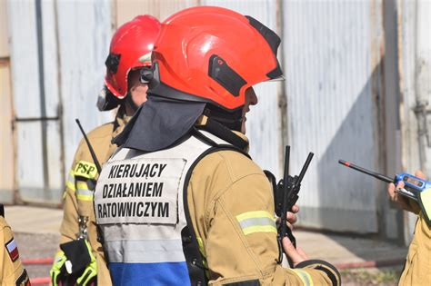 Szkic przedstawiający współpracę przewodnika z psem ratowniczym podczas akcji na gruzowisku