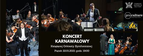 Sinfonia orkiestry podczas koncertu plenerowego z solistami