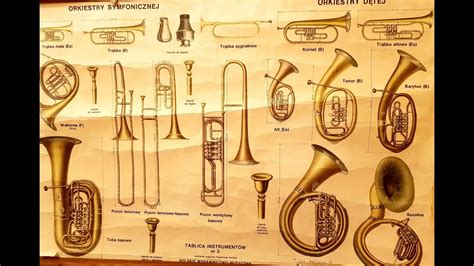 schemat instrumentów dętych blaszanych w orkiestrze dętej