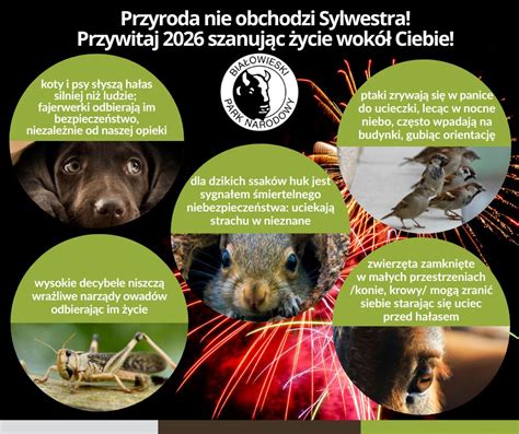 Zdjęcie spalonego lasu z widocznymi martwymi zwierzętami