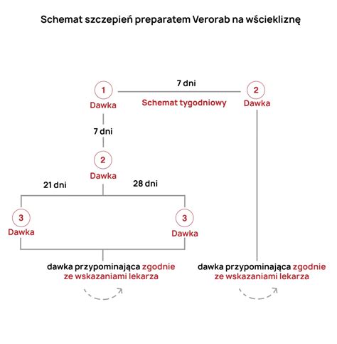 Schemat dróg ekspozycji na toksyny dla strażaków