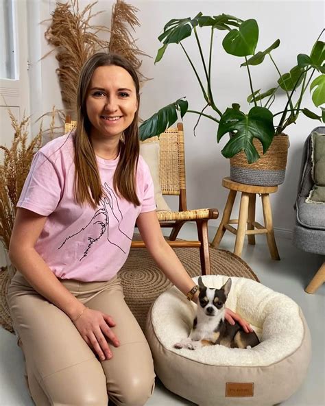 różnorodne gadżety z motywem Pitbulla: kubki, koszulki, skarpetki
