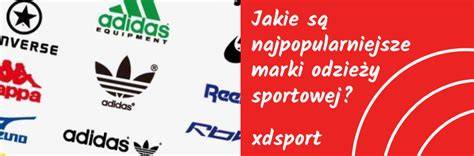 grafika przedstawiająca zestawienie odzieży sportowej i codziennej marki PitBull z podziałem na pory roku
