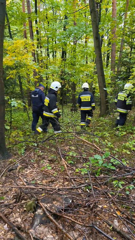 Scena z ćwiczeń ratowniczych OSP w terenie leśnym - poszukiwania zaginionych