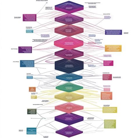 schemat pokazujący różne formy 