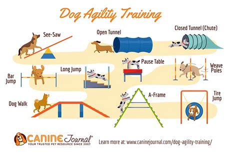 Technical drawing or schematic of a dog agility course
