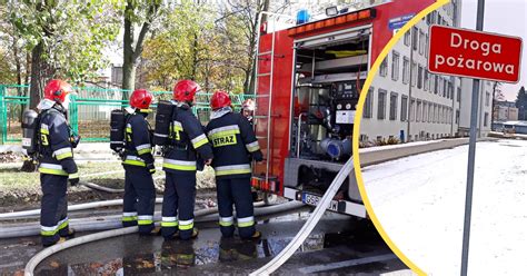 Zdjęcie leśnej drogi pożarowej, szerokiej i umożliwiającej przejazd pojazdów