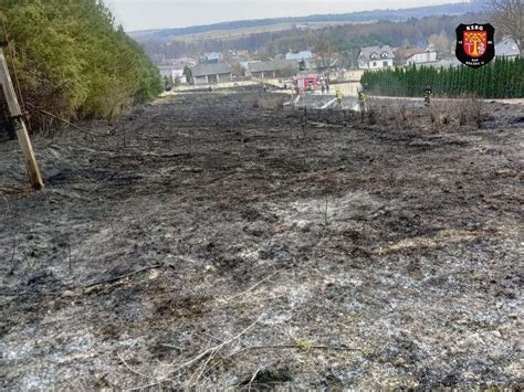 Mapa Beniaminowa z zaznaczonym rejonem pożaru lasu w pobliżu ulicy Fortowej