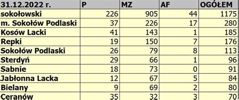 Tabela zestawienia dotacji dla jednostek OSP w 2022 roku