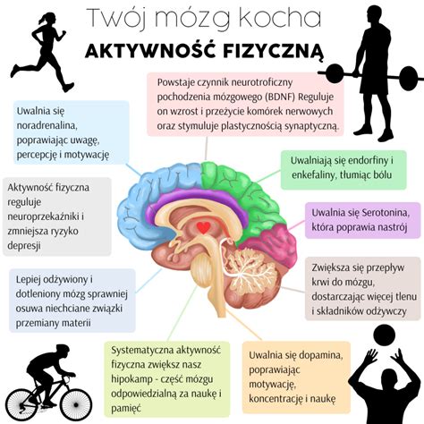 Ilustracja przedstawiająca harmonogram dnia osoby z PTSD, uwzględniający aktywność fizyczną i techniki relaksacyjne