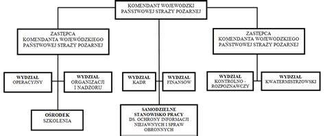 Schemat organizacyjny jednostki OSP przedstawiający podział zadań pomiędzy zarządem a członkami jednostki operacyjnej.