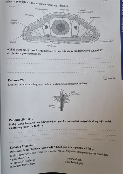 Schemat budowy węża tłocznego: wewnętrzna wkładka z PCV lub gumy, oplot tekstylny oraz szybkozłączki.