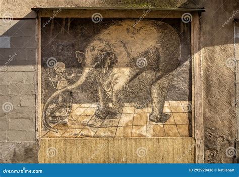 Grafika przedstawiająca sgraffito słonicy Hansken z Trzebiatowa