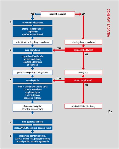 schemat przedstawiający procedury medyczne stosowane przez strażaków OSP w sytuacjach zagrożenia