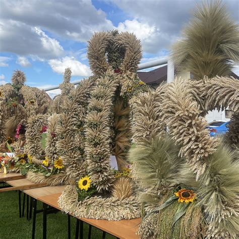 Zdjęcie pięknego wieńca dożynkowego