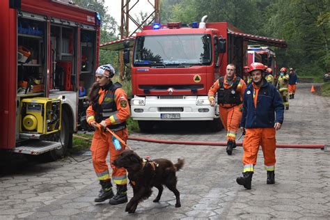 zdjęcie zespołu ratowniczo-poszukiwawczego OSP Siary z psem ratowniczym