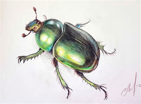 Schematyczny rysunek Żuka w wersji strażackiej z zaznaczonymi elementami wyposażenia