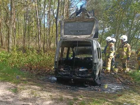 Zgliszcza spalonego samochodu w lesie z resztkami konstrukcji i wypaloną trawą
