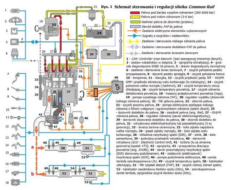 Schemat techniczny silnika wysokoprężnego 1.5 BlueHDi oraz lokalizacja układu common rail