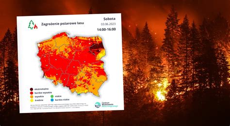 Mapa zagrożenia pożarowego lasu z zaznaczonymi strefami prognostycznymi