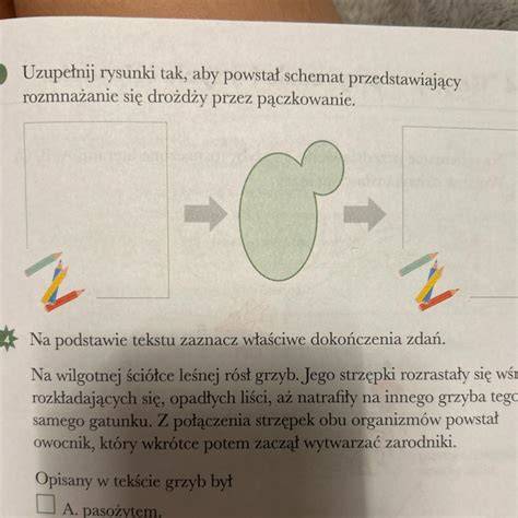 Schemat przedstawiający układ wyciągowy wykorzystywany przez strażaków do podnoszenia dużych zwierząt