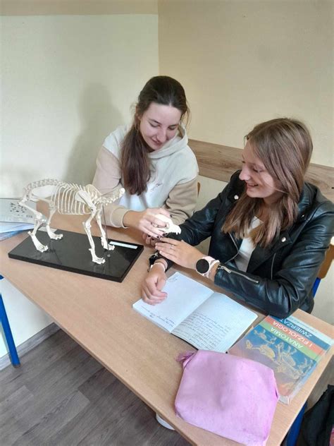 Studentka położnictwa podczas zajęć praktycznych z modelami anatomicznymi