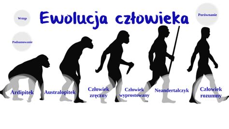 Ilustracja przedstawiająca ewolucję memów od prostych obrazków do złożonych form wizualnych z tekstem.