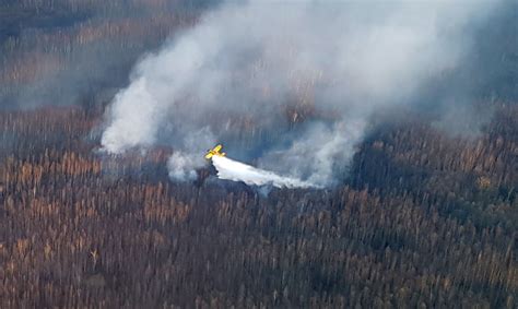 Lotnicza akcja gaśnicza podczas pożaru lasu w Kozłowie
