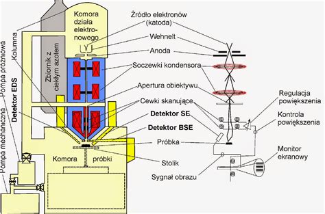 Schemat budowy optycznego i jonizacyjnego detektora dymu