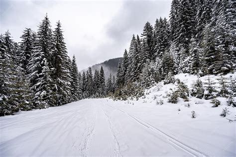 Krajobraz syberyjski pokryty śniegiem, z którego unoszą się słupy dymu.