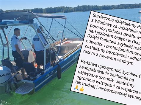 Zespołowa akcja ratunkowa Psiego Patrolu z Marshallem na czele