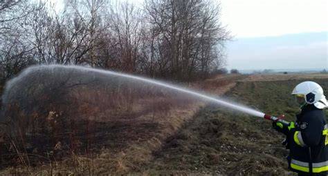 Strażacy gaszący pożar traw w Brzesku