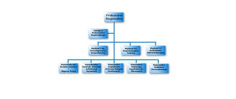 schemat działań prokuratury w sprawie pożaru w Przylepie