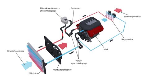 schemat przedstawiający kota uwięzionego w komorze silnika samochodu