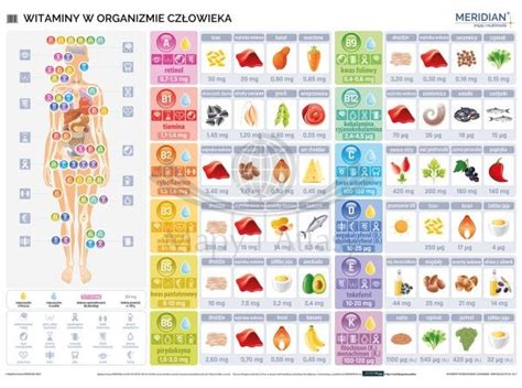 infografika przedstawiająca rolę siarki w organizmie człowieka i jej wpływ na skórę i włosy