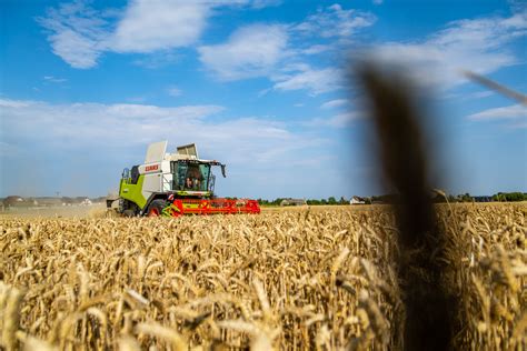 Infografika przedstawiająca checklistę bezpiecznego użytkowania kombajnu podczas żniw