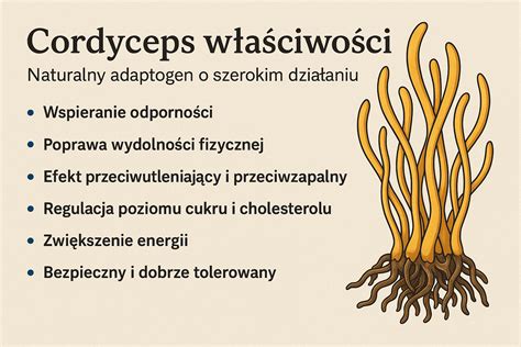 Infografika: Grzyb Ophiocordyceps unilateralis i jego działanie