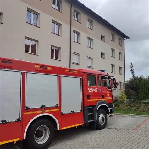 Zastęp strażaków OSP usuwający gniazdo szerszeni