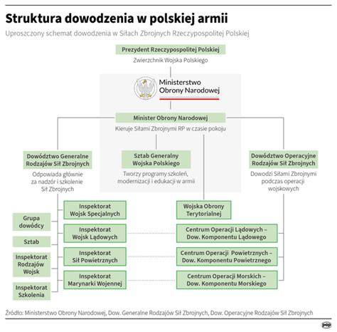 infografika przedstawiająca różnorodne zadania strażaków