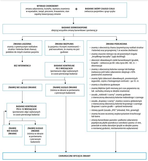 schemat procesu badań lekarskich OSP