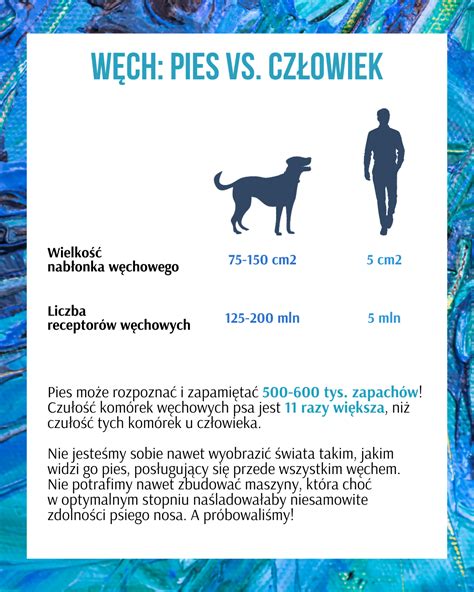 infografika przedstawiająca zmysł węchu kota lub kota w akcji ratunkowej