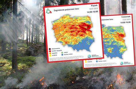 mapa pożaru lasu w Biłgoraju