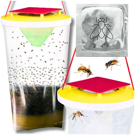 pułapka na owady w ogrodzie