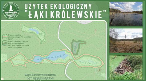 Mapa użytku ekologicznego