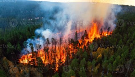 Photo of a damaged fire truck or a large forest fire